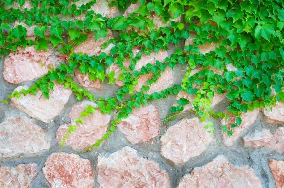 Professionnel pour la création et l'installation de murs en pierre autour d'une maison à Bons-en-Chablais