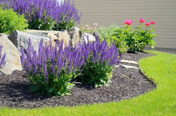 Entreprise pour la création et l'entretien de jardin régulier dans une propriété à Sciez