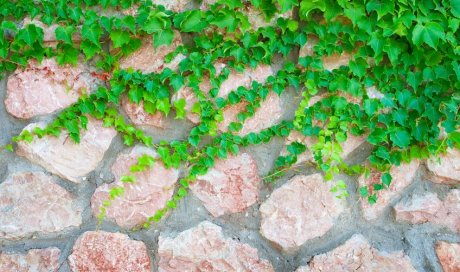 Professionnel pour la création et l'installation de murs en pierre autour d'une maison à Bons-en-Chablais