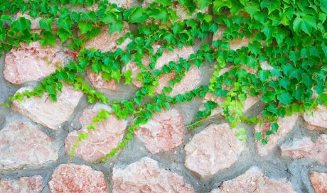 Professionnel pour la création et l'installation de murs en pierre autour d'une maison à Bons-en-Chablais