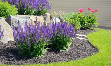 Entreprise pour la création et l'entretien de jardin régulier dans une propriété à Sciez